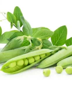 100 Heirloom Sugar Snap Pea Seeds | Sweet Vegetable Seeds for Gardens