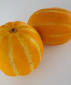 20 Heirloom Tropical Seeds - Apple Melon Wild Muskmelon - Sweet Aroma - Cucumis melo var dudaim