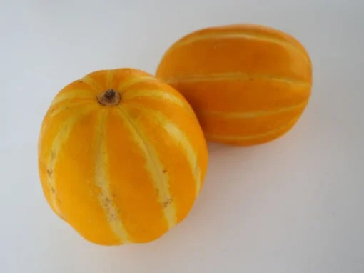 20 Heirloom Tropical Seeds - Apple Melon Wild Muskmelon - Sweet Aroma - Cucumis melo var dudaim