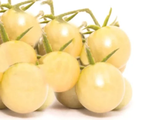 20 White Cherry Tomato Seeds - Heirloom Non-GMO Variety - Sweet Yellow Fruit