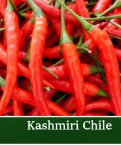 Kashmiri Chilli 20 Seeds Medium Heat Capsicum Hot Pepper Culinary Ornamental