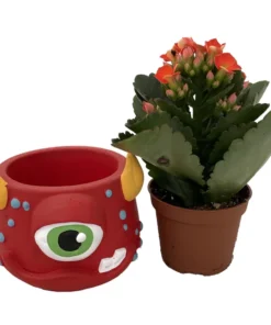 Mini Monster Ceramic Planter with Live Kalanchoe Succulent – 3-Inch Decorative Pot