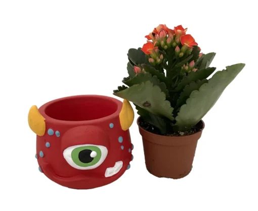 Mini Monster Ceramic Planter with Live Kalanchoe Succulent – 3-Inch Decorative Pot