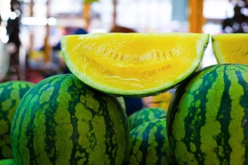 25 Seeds Watermelon Yellow Rare Vegetable Planting Heirloom Garden