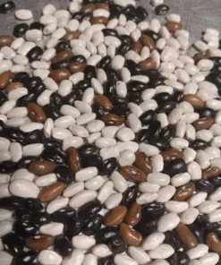 Bertie Best Greasy Heirloom Bean (30 Seeds)