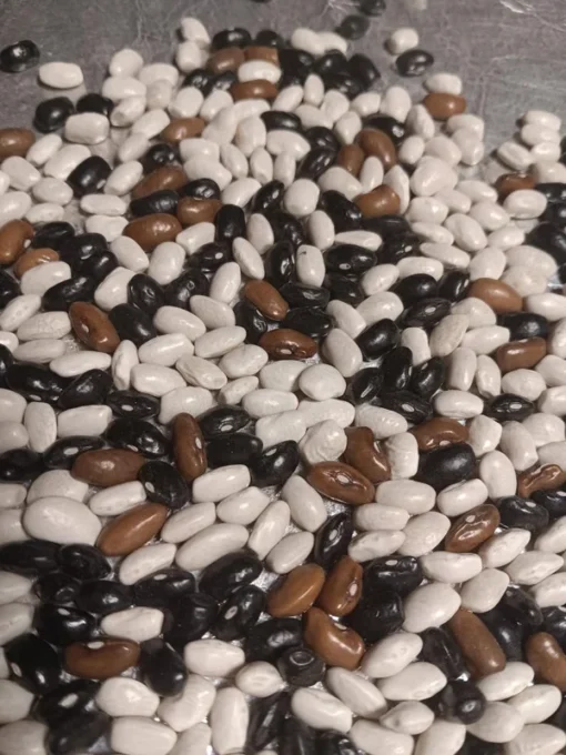 Bertie Best Greasy Heirloom Bean (30 Seeds)