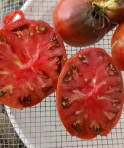 Blackberry Heirloom Tomato (30 seeds)