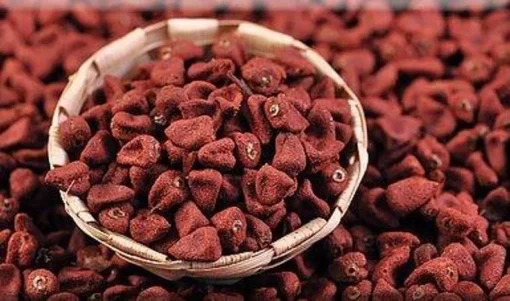 Fresh Achiote Seeds 1 Pound - Premium Natural Food Coloring and Seasoning