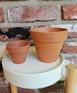 Terracotta Pot | 2in pot | 4in pot