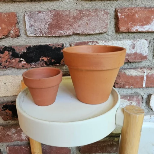 Terracotta Pot | 2in pot | 4in pot