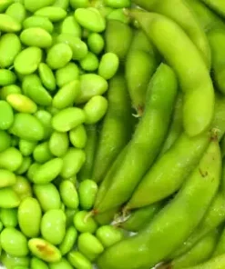 10 Edamame Soy bean Seeds for Planting 