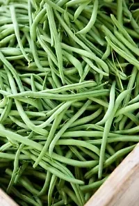 100 GREEN BEAN SEEDS, BULK Jade Bush Bean for Planting,