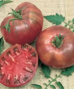 Cherokee Purple Tomato Seeds - Heirloom, NON-GMO, Variety