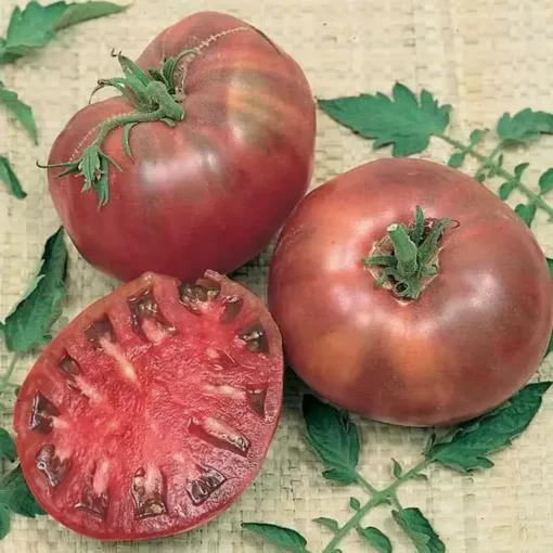 Cherokee Purple Tomato Seeds - Heirloom, NON-GMO, Variety