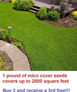 Micro Clover Seeds - 1 Pound - Covers Up To 2000 Square Feet - Grass Seeds For Lawn