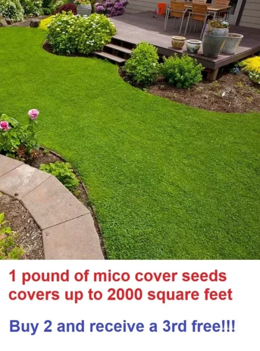 Micro Clover Seeds - 1 Pound - Covers Up To 2000 Square Feet - Grass Seeds For Lawn