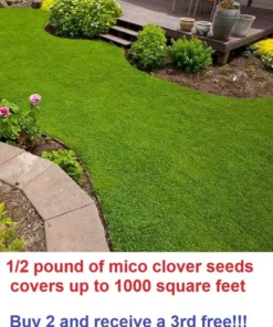 Micro Clover Seeds - 1/2 Pound - Covers Up To 1000 Square Feet - Grass Seeds For Lawn