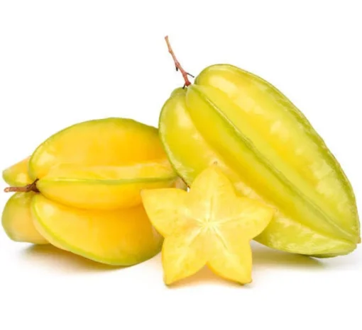 Star fruit tree (Free Shipping) 3-4 feet tall