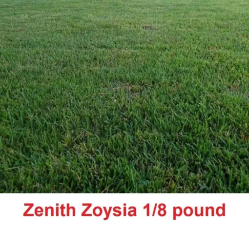 Zenith Zoysia Grass Seeds 1/8 Of A Pound (2 Ounces ) - Grass Seeds For Lawn